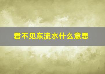 君不见东流水什么意思