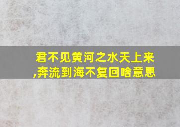 君不见黄河之水天上来,奔流到海不复回啥意思