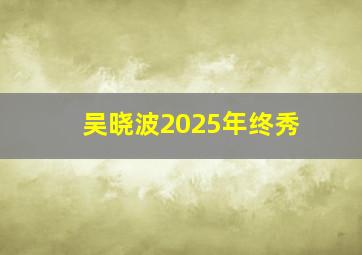 吴晓波2025年终秀