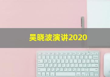 吴晓波演讲2020