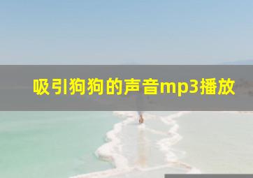 吸引狗狗的声音mp3播放