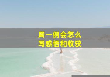 周一例会怎么写感悟和收获