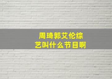 周琦郭艾伦综艺叫什么节目啊