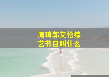 周琦郭艾伦综艺节目叫什么