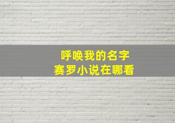 呼唤我的名字赛罗小说在哪看