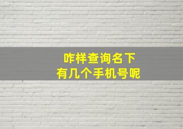 咋样查询名下有几个手机号呢