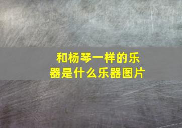 和杨琴一样的乐器是什么乐器图片