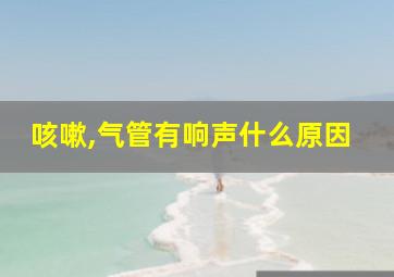 咳嗽,气管有响声什么原因