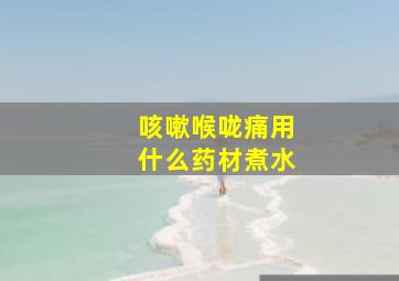 咳嗽喉咙痛用什么药材煮水