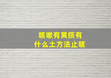 咳嗽有黄痰有什么土方法止咳