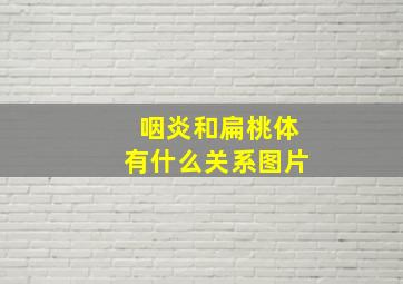 咽炎和扁桃体有什么关系图片