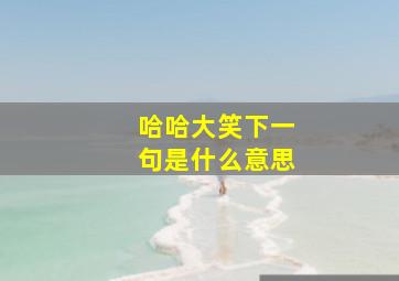 哈哈大笑下一句是什么意思