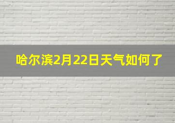 哈尔滨2月22日天气如何了