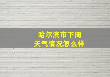 哈尔滨市下周天气情况怎么样