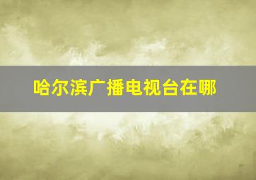 哈尔滨广播电视台在哪