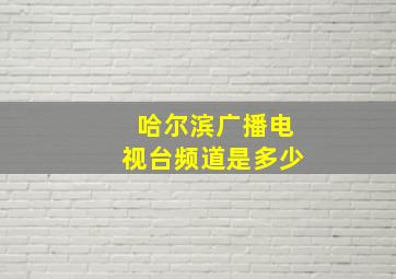 哈尔滨广播电视台频道是多少