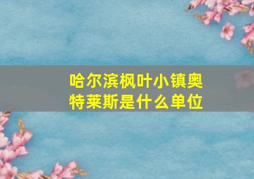 哈尔滨枫叶小镇奥特莱斯是什么单位