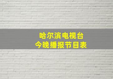 哈尔滨电视台今晚播报节目表