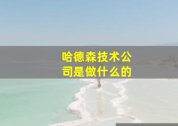 哈德森技术公司是做什么的