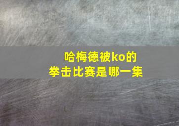 哈梅德被ko的拳击比赛是哪一集