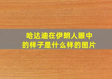 哈达迪在伊朗人眼中的样子是什么样的图片