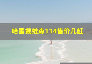 哈雷戴维森114售价几缸