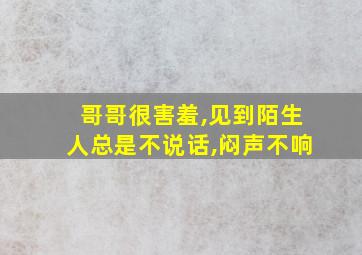 哥哥很害羞,见到陌生人总是不说话,闷声不响