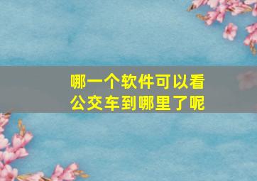 哪一个软件可以看公交车到哪里了呢