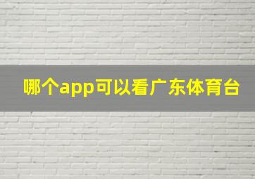 哪个app可以看广东体育台