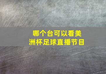 哪个台可以看美洲杯足球直播节目