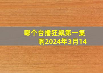 哪个台播狂飙第一集啊2024年3月14