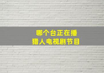 哪个台正在播猎人电视剧节目