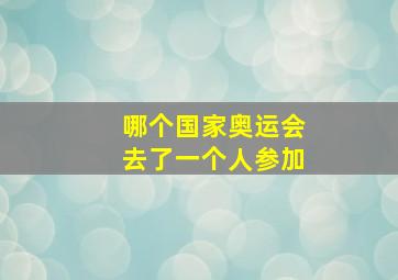 哪个国家奥运会去了一个人参加