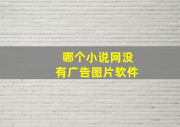 哪个小说网没有广告图片软件