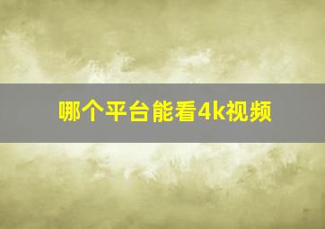 哪个平台能看4k视频