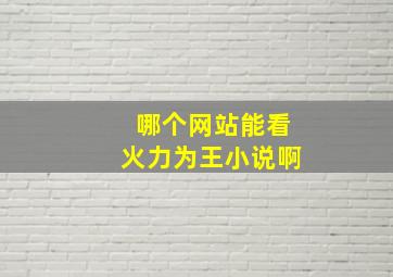 哪个网站能看火力为王小说啊