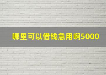 哪里可以借钱急用啊5000