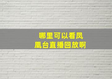 哪里可以看凤凰台直播回放啊