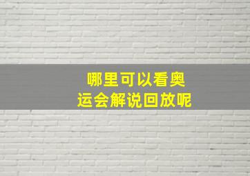 哪里可以看奥运会解说回放呢