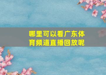 哪里可以看广东体育频道直播回放呢