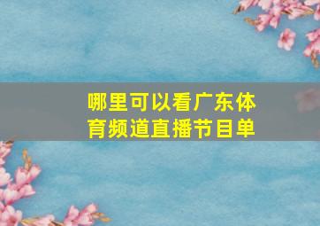 哪里可以看广东体育频道直播节目单