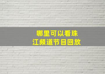 哪里可以看珠江频道节目回放