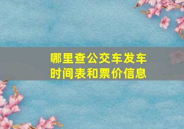 哪里查公交车发车时间表和票价信息