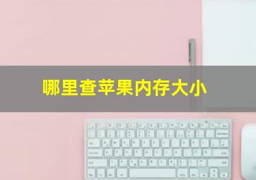 哪里查苹果内存大小