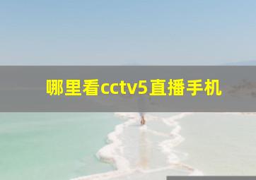 哪里看cctv5直播手机