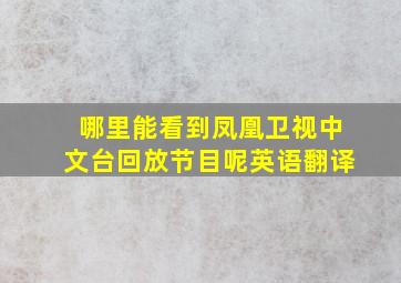 哪里能看到凤凰卫视中文台回放节目呢英语翻译