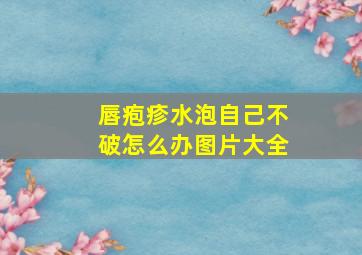 唇疱疹水泡自己不破怎么办图片大全