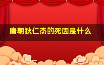 唐朝狄仁杰的死因是什么