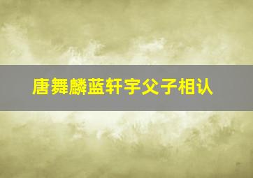 唐舞麟蓝轩宇父子相认