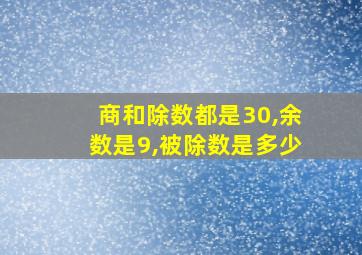 商和除数都是30,余数是9,被除数是多少